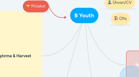 Mind Map: B Youth