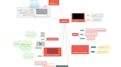 Mind Map: ENFOQUES TRANSVERSALES