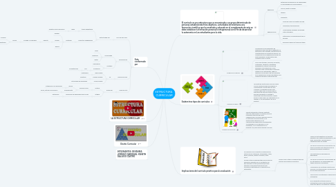 Mind Map: ESTRUCTURA CURRICULAR