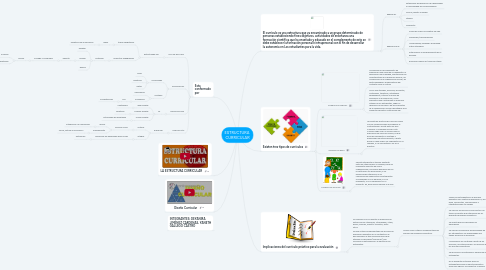 Mind Map: ESTRUCTURA  CURRICULAR