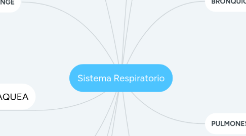 Mind Map: Sistema Respiratorio