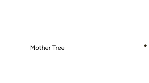 Mind Map: Mother Tree