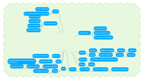 Mind Map: Sistema respiratorio