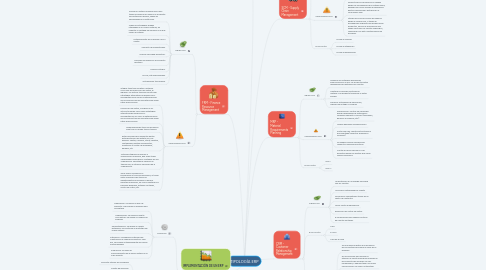 Mind Map: TIPOLOGÍA ERP