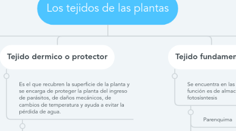 Mind Map: Los tejidos de las plantas