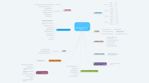 Mind Map: ADMINISTRACIÓN DE PYMES