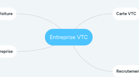 Mind Map: Entreprise VTC