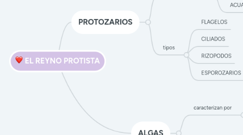 Mind Map: EL REYNO PROTISTA