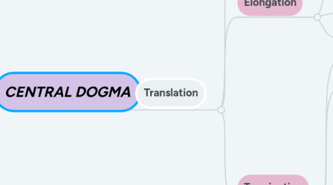 Mind Map: CENTRAL DOGMA