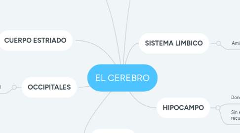Mind Map: EL CEREBRO