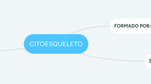 Mind Map: CITOESQUELETO