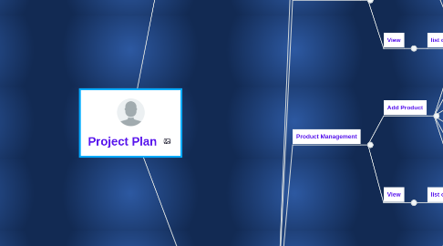 Mind Map: Project Plan