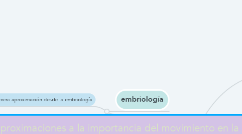 Mind Map:  “Cuatro aproximaciones a la importancia del movimiento en la evolución y desarrollo del sistema nervioso”