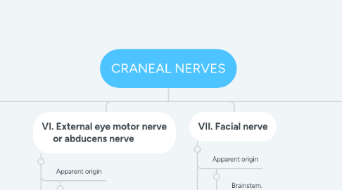 Mind Map: CRANEAL NERVES