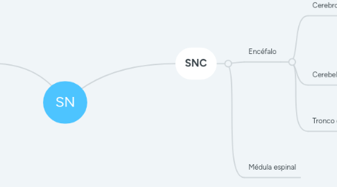 Mind Map: SN