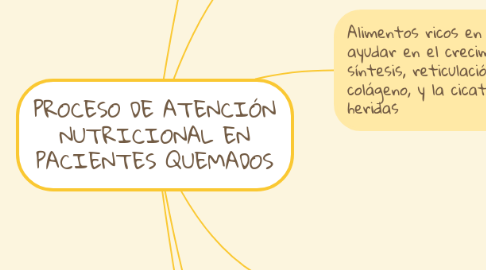 Mind Map: PROCESO DE ATENCIÓN NUTRICIONAL EN PACIENTES QUEMADOS