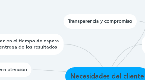 Mind Map: Necesidades del cliente