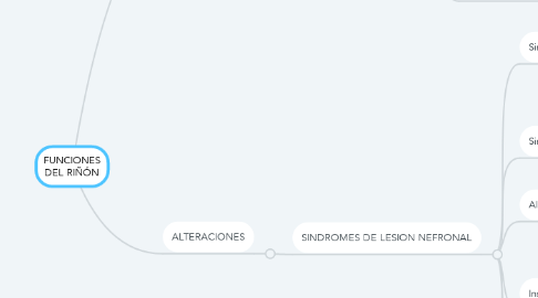 Mind Map: FUNCIONES DEL RIÑÓN