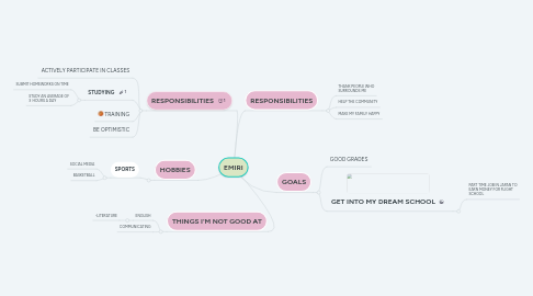 Mind Map: EMIRI