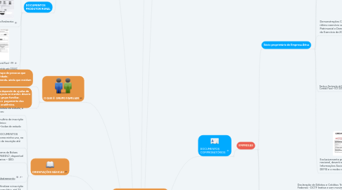 Mind Map: Processo de Bolsas 2019/2