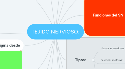 Mind Map: TEJIDO NERVIOSO: