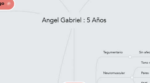 Mind Map: Angel Gabriel : 5 Años