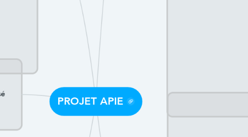 Mind Map: PROJET APIE