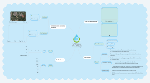 Mind Map: CALIDAD DEL AGUA