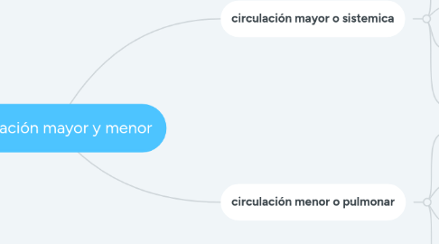 Mind Map: circulación mayor y menor