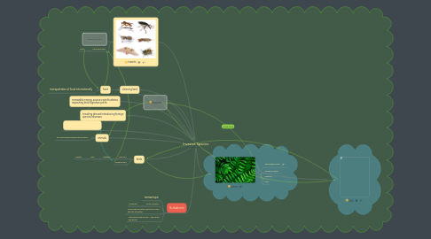 Mind Map: Invasive Species
