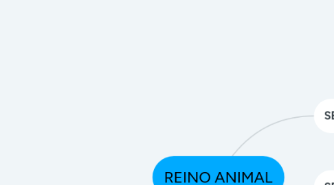 Mind Map: REINO ANIMAL