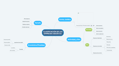 Mind Map: CLASIFICACIÓN DE LAS EMPRESAS SEGÚN SU: