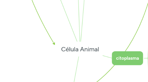 Mind Map: Célula Animal