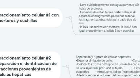 Mind Map: Practica de laboratorio #4 fraccionamiento celular