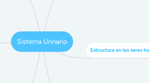 Mind Map: Sistema Urinario