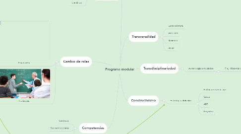 Mind Map: Programa modular