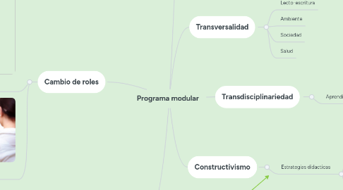 Mind Map: Programa modular