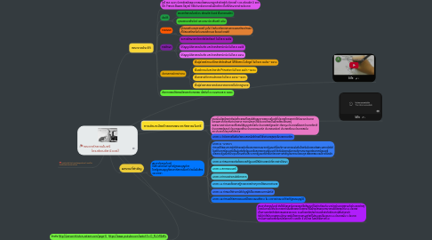 Mind Map: พระยากัลยาณไมตรี (ดร.ฟรานซิส บี.แซร์)