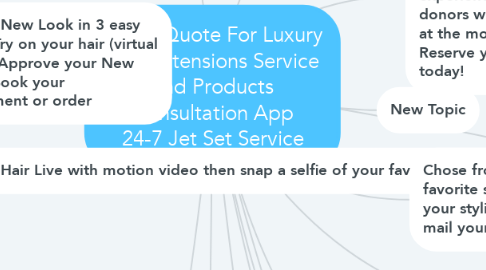Mind Map: Quick Quote For Luxury Hair Extensions Service and Products Consultation App 24-7 Jet Set Service