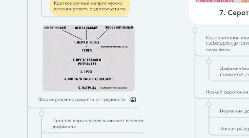 Mind Map: 🌪️Самодисциплина