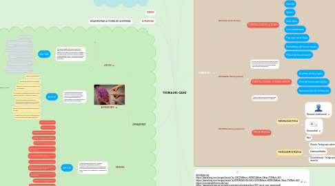 Mind Map: TEORIA DEL CASO