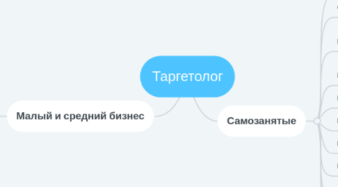 Mind Map: Таргетолог