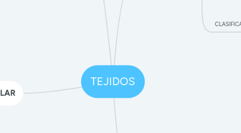 Mind Map: TEJIDOS