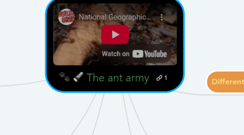 Mind Map: The ant army