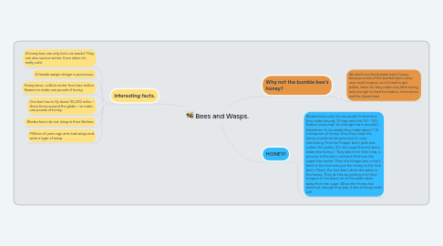 Mind Map: Bees and Wasps.