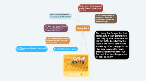 Mind Map: Honey Bees