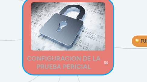 Mind Map: CONFIGURACION DE LA PRUEBA PERICIAL