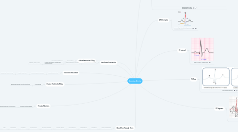 Mind Map: Cardiac Cycle