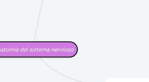 Mind Map: Anatomía del sistema nervioso