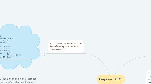 Mind Map: Empresa: YEYE